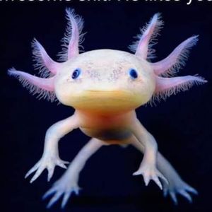 Christmas IC for Michiko